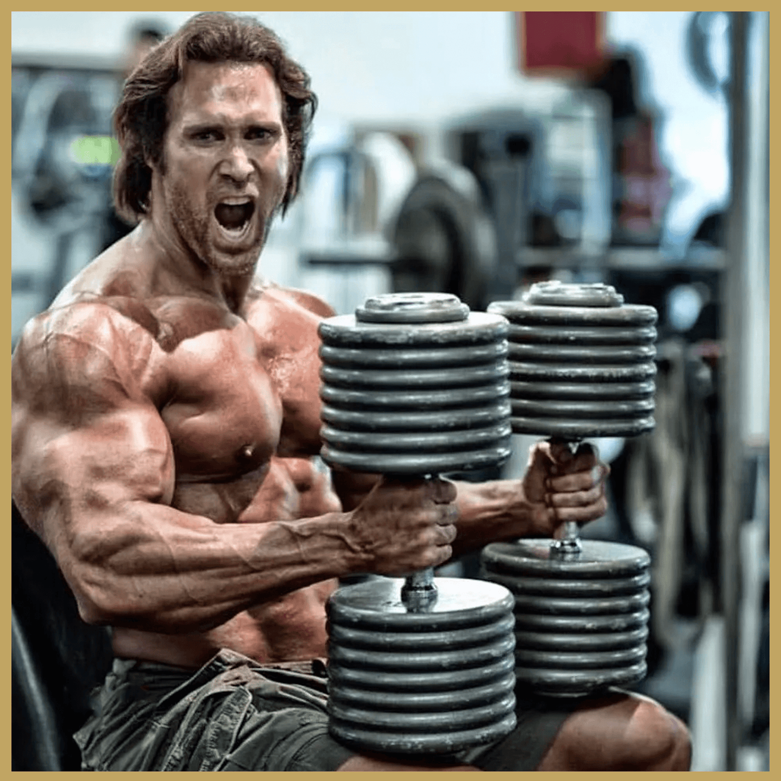 Power bodybuilding hot sale